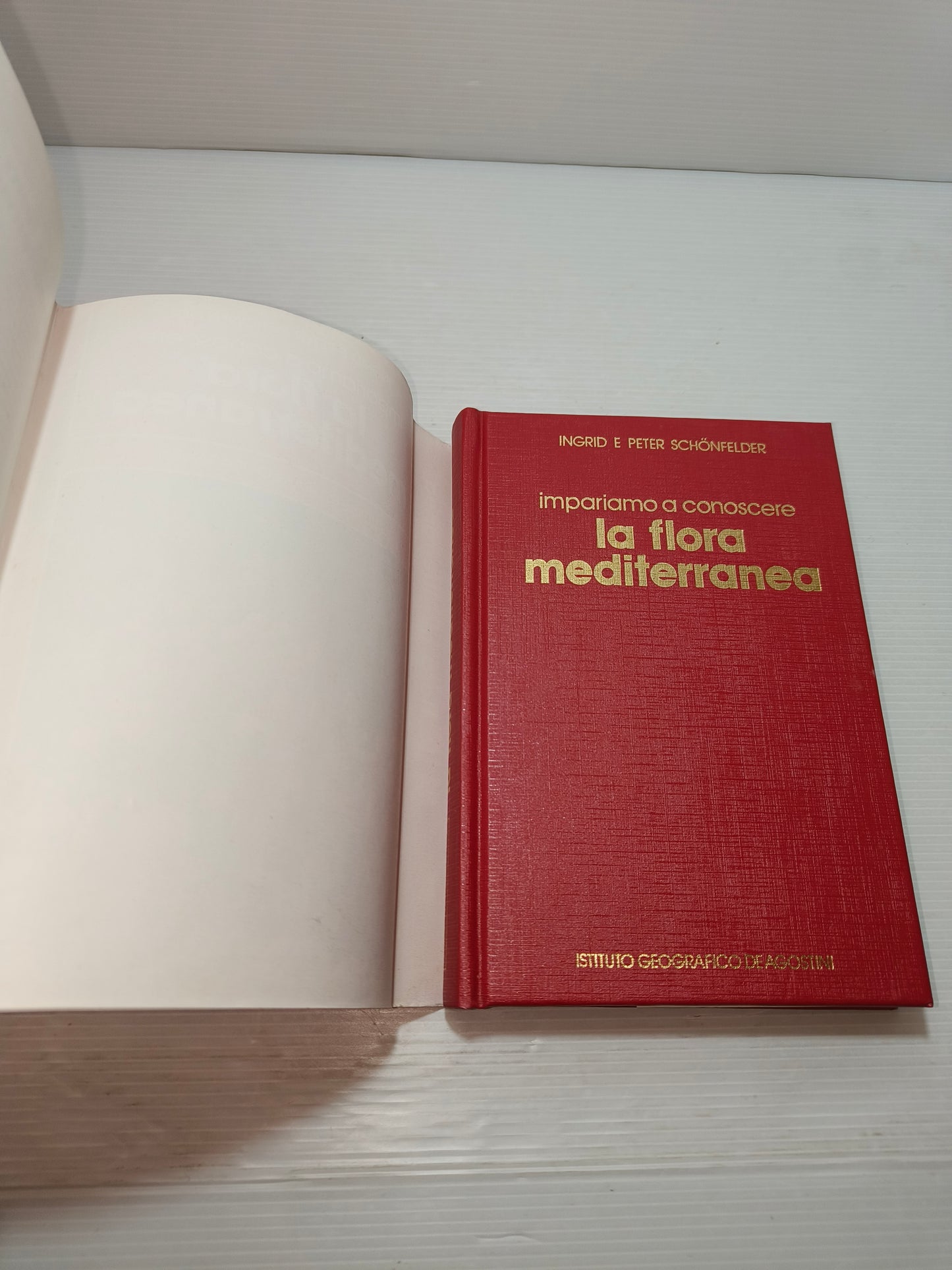 Libro La Flora Mediterranea DeAgostini anni 90