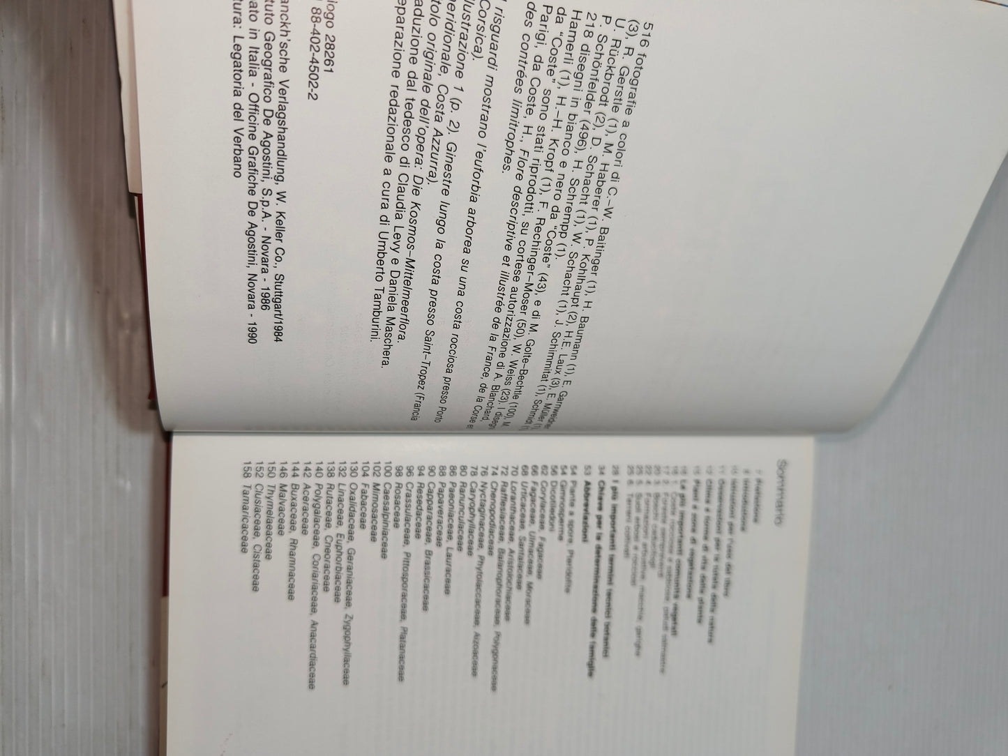 Libro La Flora Mediterranea DeAgostini anni 90