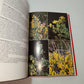 Libro La Flora Mediterranea DeAgostini anni 90