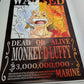 Stampa Su Tela Wanted Monkey D Luffy
Misure 60 x 40 cm circa