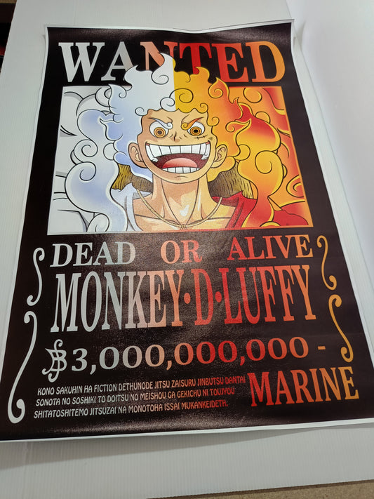 Stampa Su Tela Wanted Monkey D Luffy
Misure 60 x 40 cm circa
