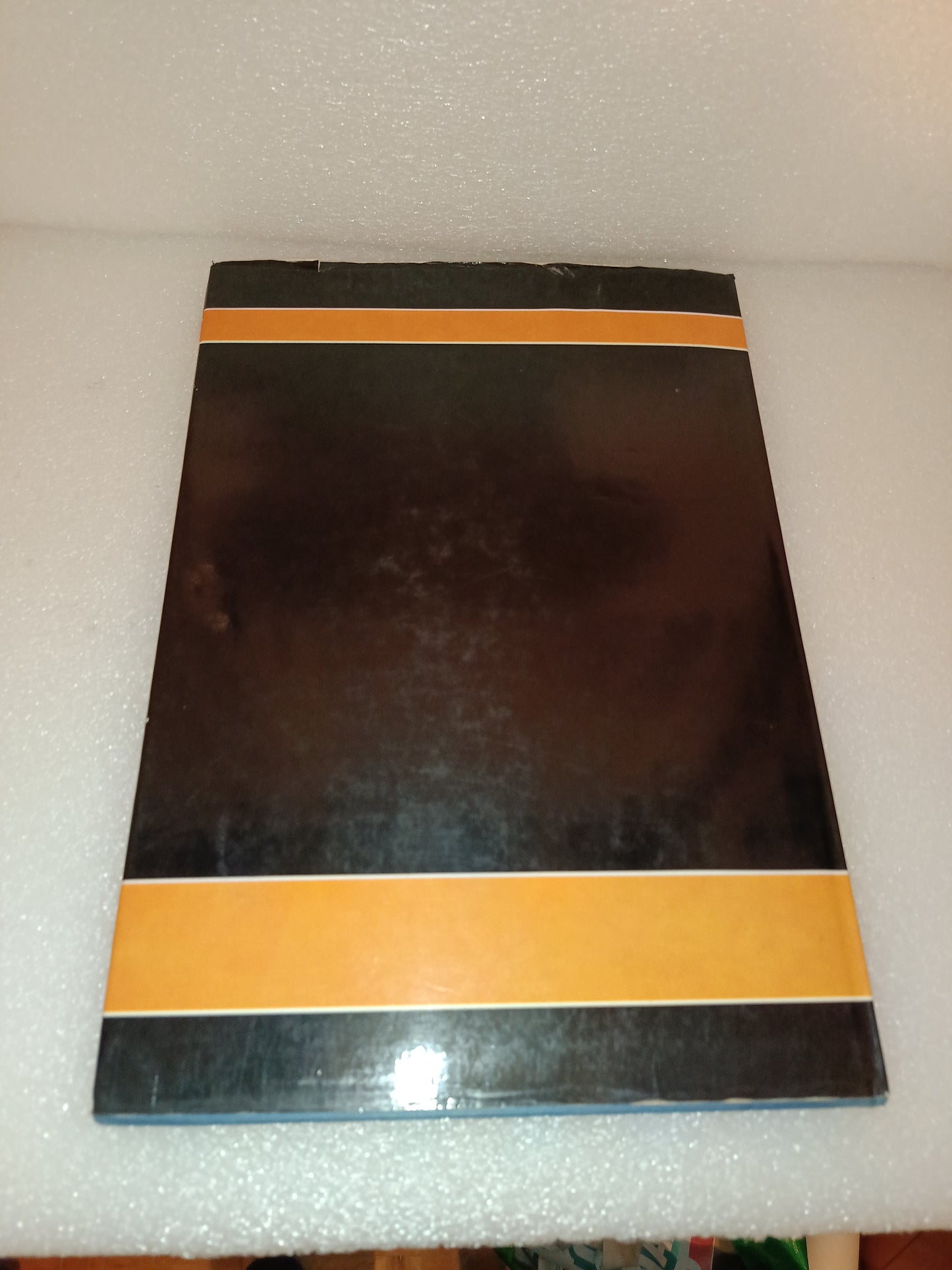 Scialpi Forte Editore
Edito nel 1987