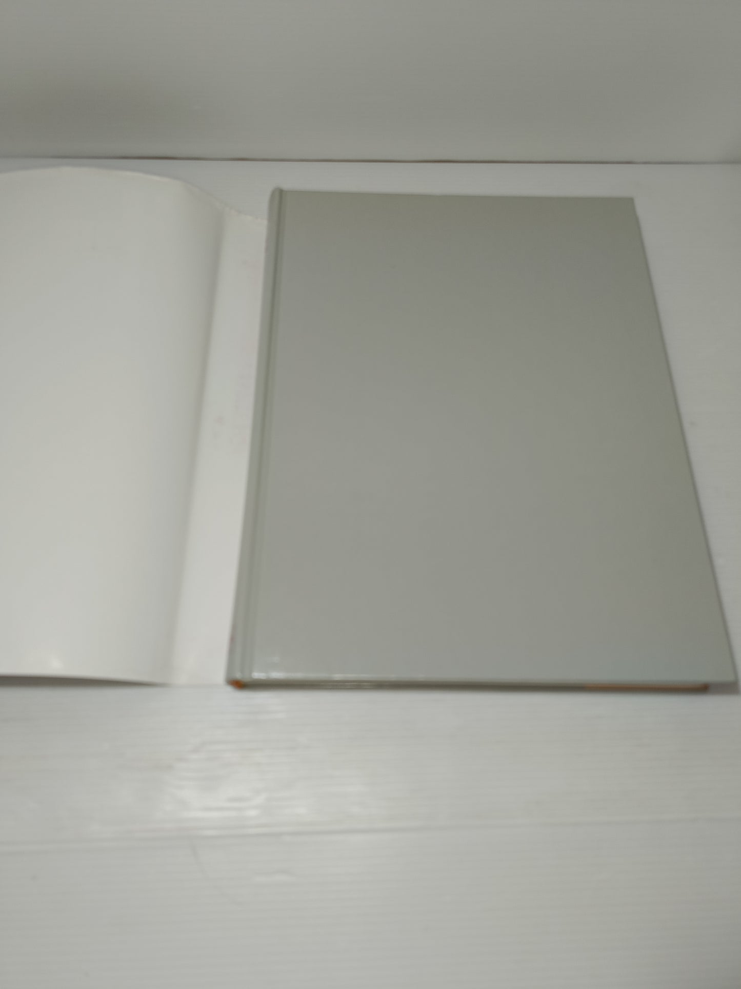 Hotel Planning And Design Guida Per Architetti ,Designer di Interni e Manager Alberghieri