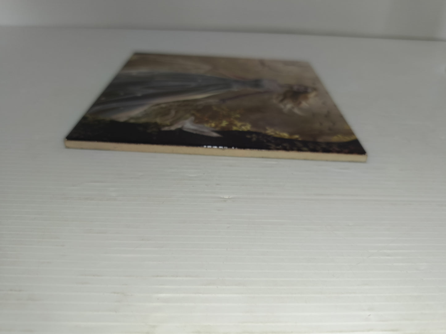 Stampa Su Piastrella In Ceramica misure 15x15x0,5 Cm