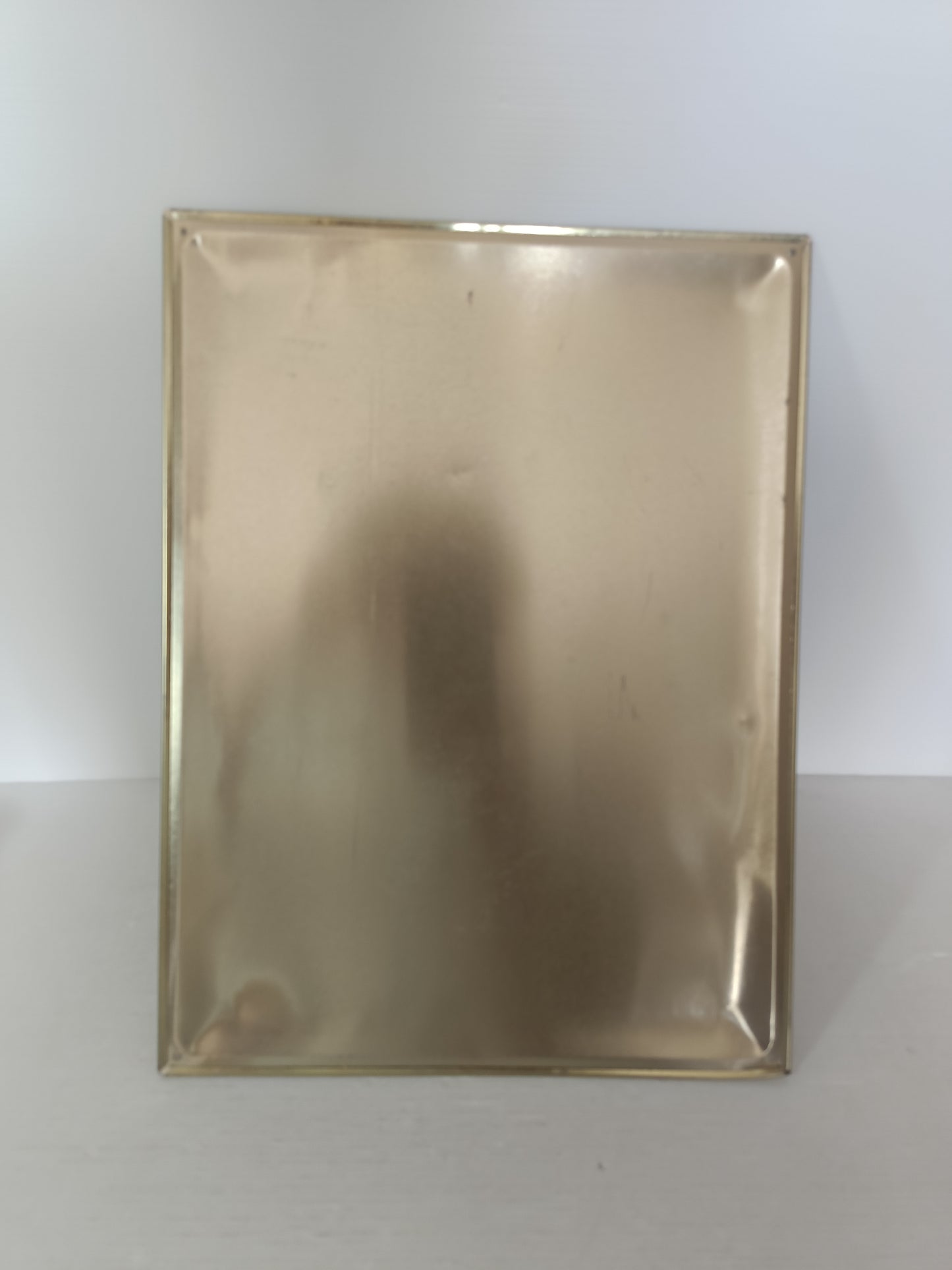 Targa Pastiglie Leone In Metallo
Misure 40 X 30 cm