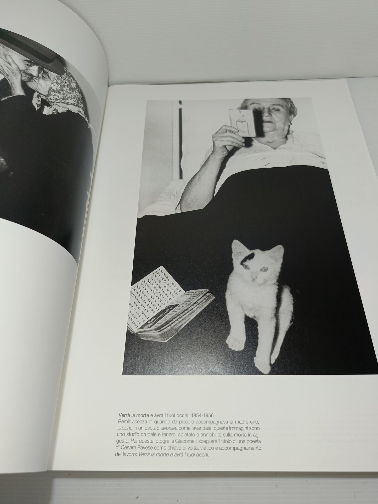 Giacomelli
Serie I Grandi Fotografi