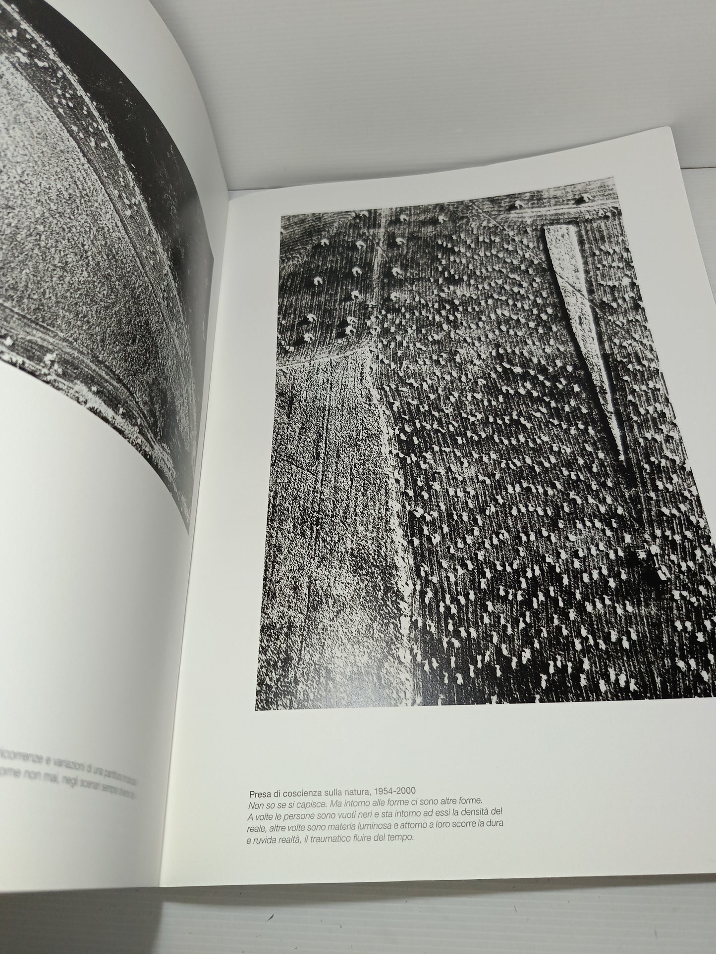 Giacomelli
Serie I Grandi Fotografi