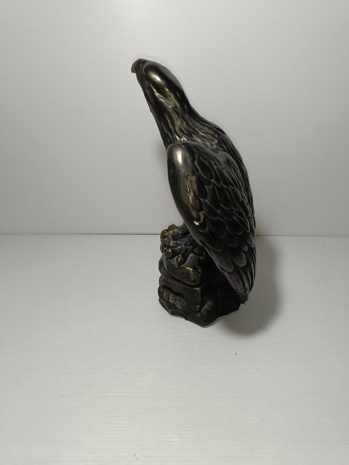 Aquila In Gesso Effetto Bronzo
Prodotta da Mundo Exotico Salou
Altezza cm.28 circa