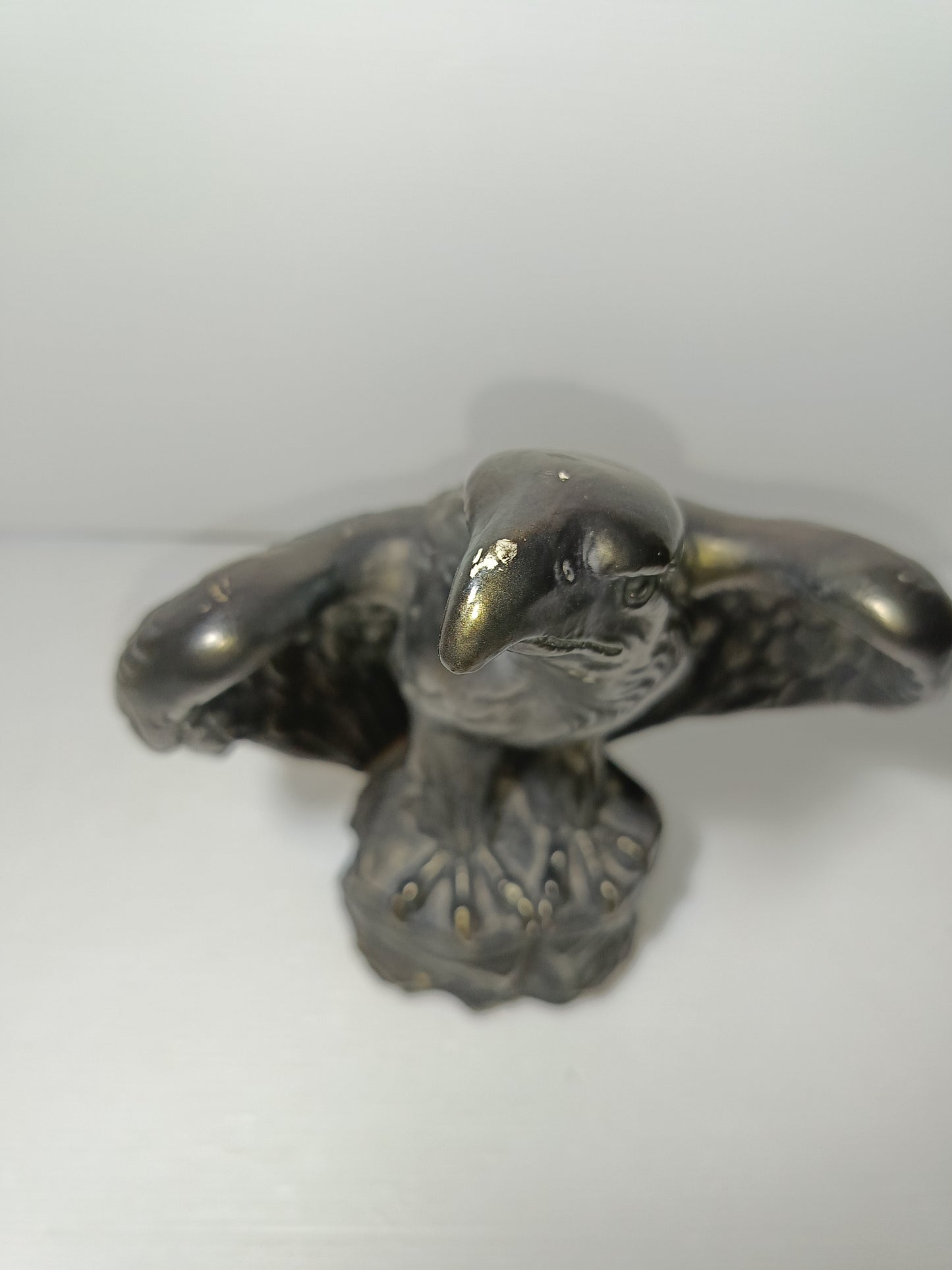 Aquila In Gesso Effetto Bronzo
Prodotta da Mundo Exotico Salou
Altezza cm.28 circa