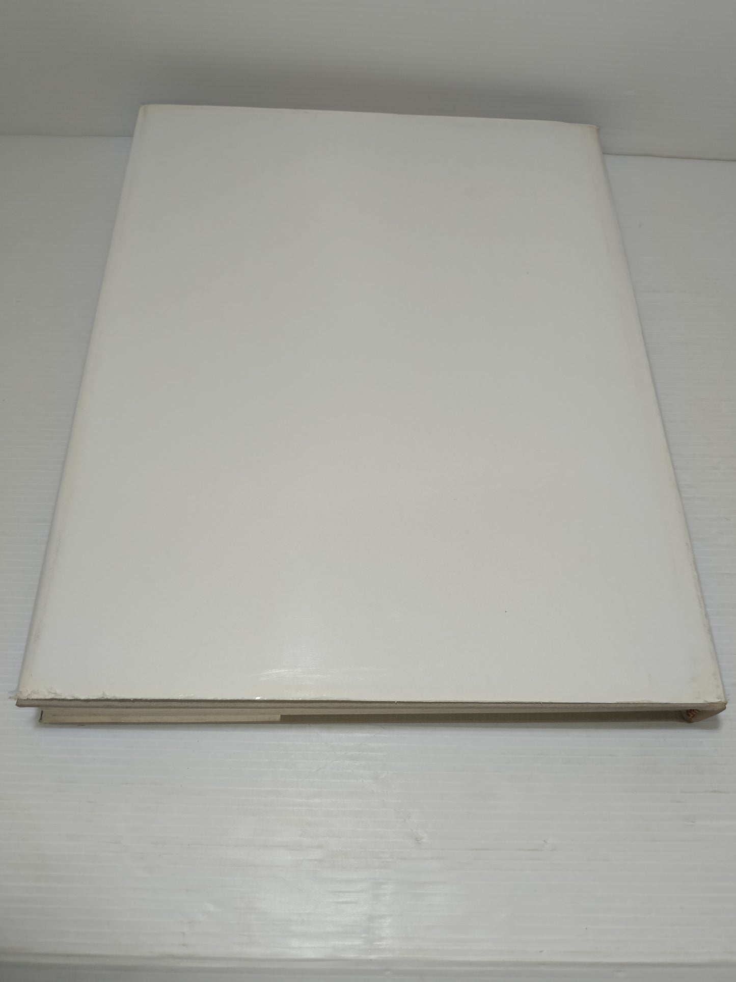 La Chiesa Di San Domenico Di Chieri P.A.Guarienti
Edito nel 1961 da Ilte Torino