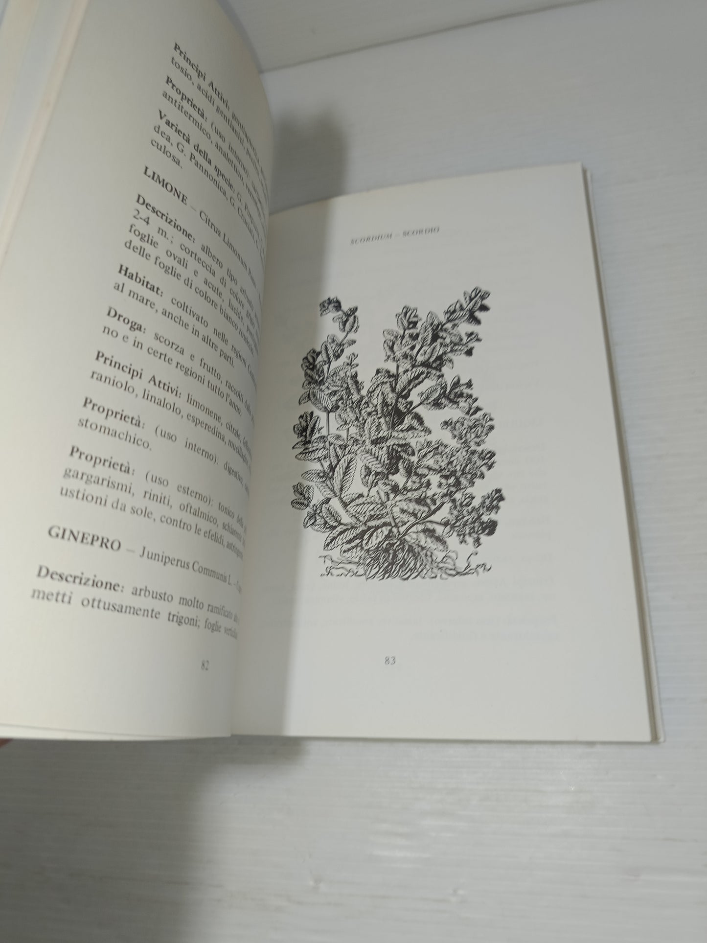 100 Domande Ad Un Mago Luciano Caffi (Piero Lorio)