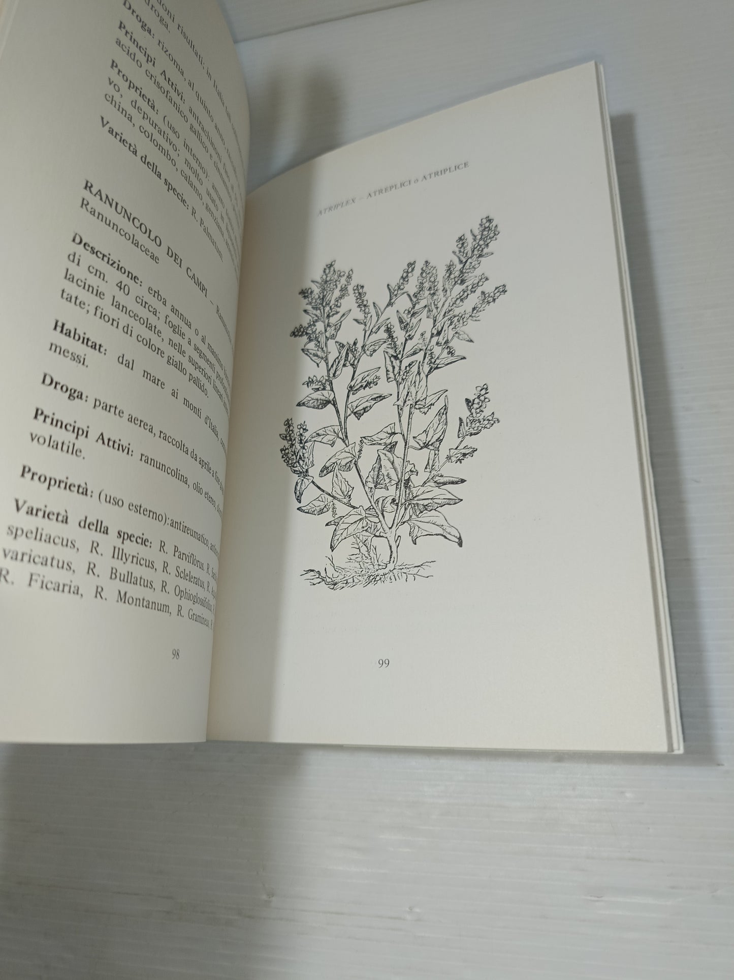 100 Domande Ad Un Mago Luciano Caffi (Piero Lorio)