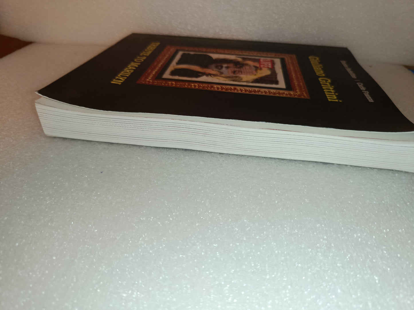 Tribute To Marilyn Giuliano Grittini a cura di Enrico Badellino- Carlo Franza