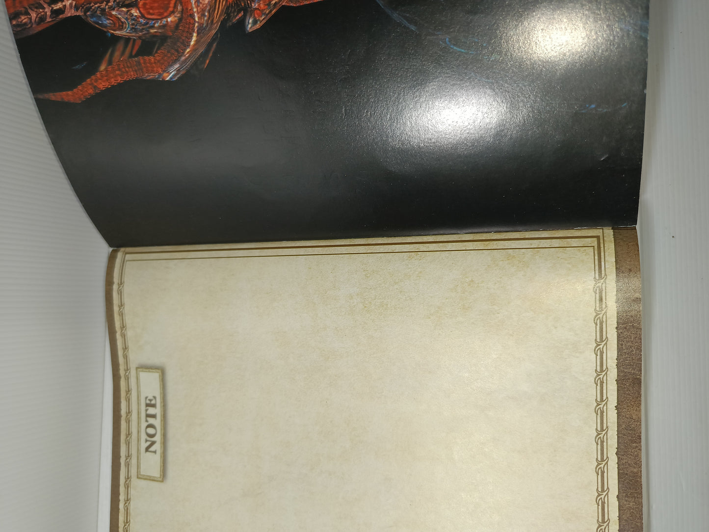 The Elder Scrolls IV Oblivion GuidaStrategica Ufficiale  Per PC e  Xbox360