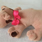 New Born Herbert Family Finder Puppies Plush Toy