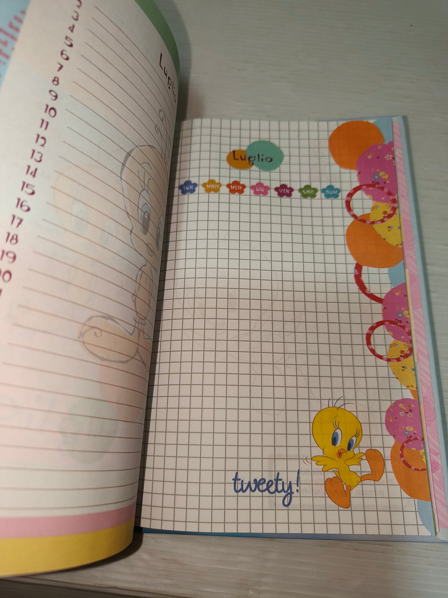 Diario Tweety vintage, LEGGI