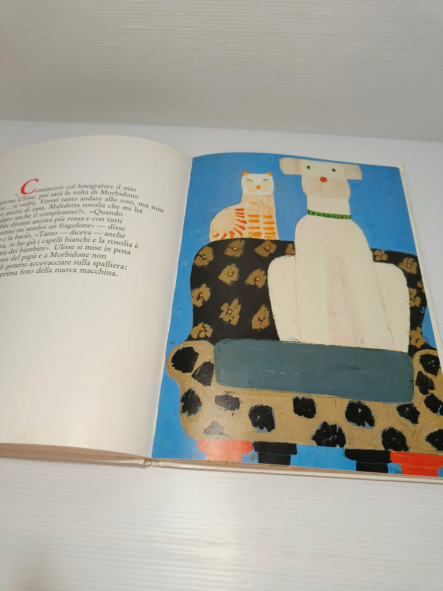 Libro L'uccellino fotoreporter, anni 80 LEGGI