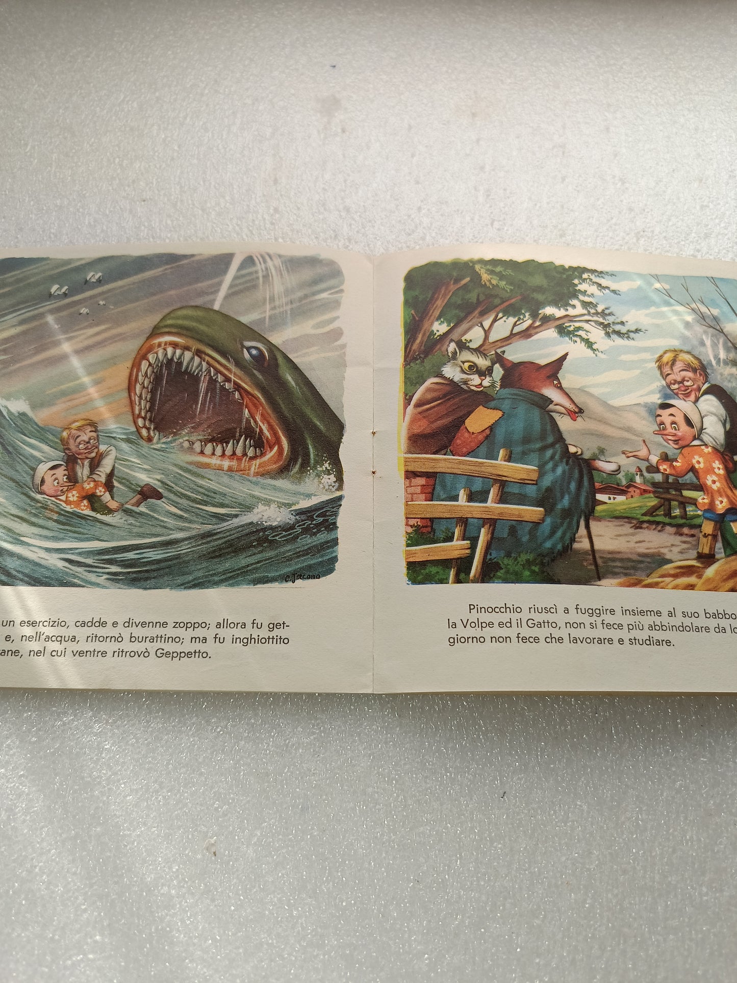 Pinocchio Collana Allegria Carroccio