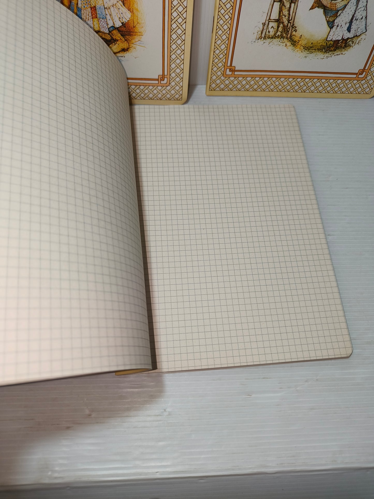 Quaderni piccoli a quadretti Holly Hobbie anni 70