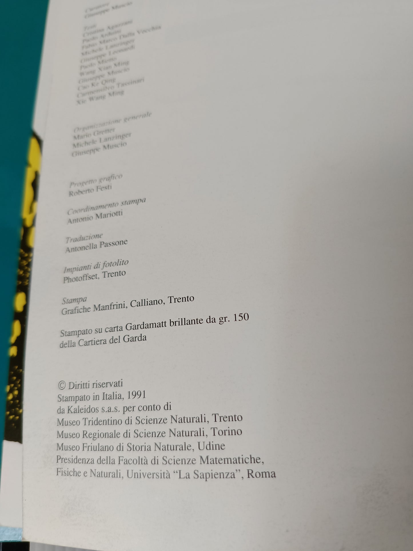 Dinosaurs Il Mondo Dei Dinosauri Cina Italia 1992