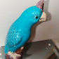 Pappagallo in porcellana smaltata d'epoca, LEGGI