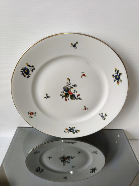 Piatto In Ceramica Richard Ginori Vintage
