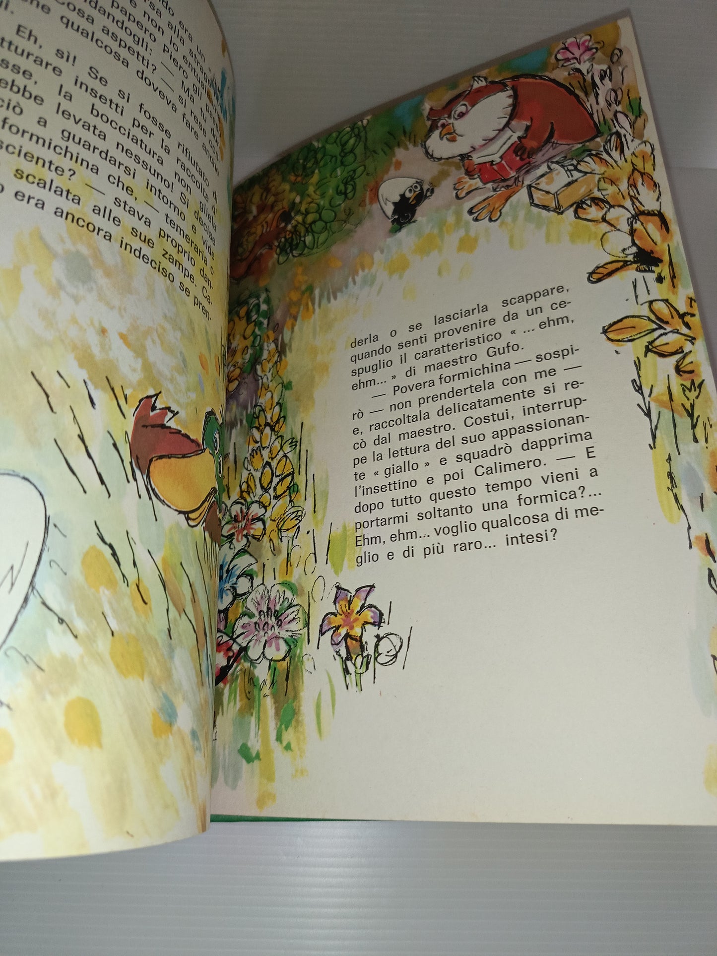 Le Avventure Di Calimero Pulcino Nero Nino e Toni Pagot vol.primo