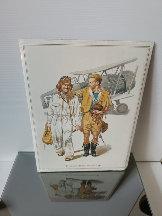 Aviatore Royal Air Force
Stampa Originale Fine Anni 70