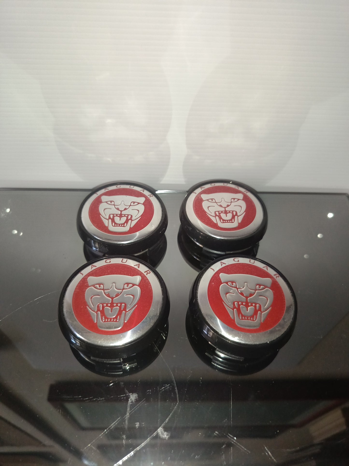 Jaguar 4 Coprimozzo