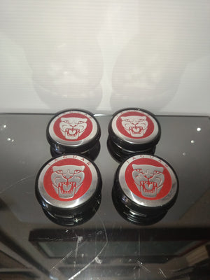 Jaguar 4 Coprimozzo