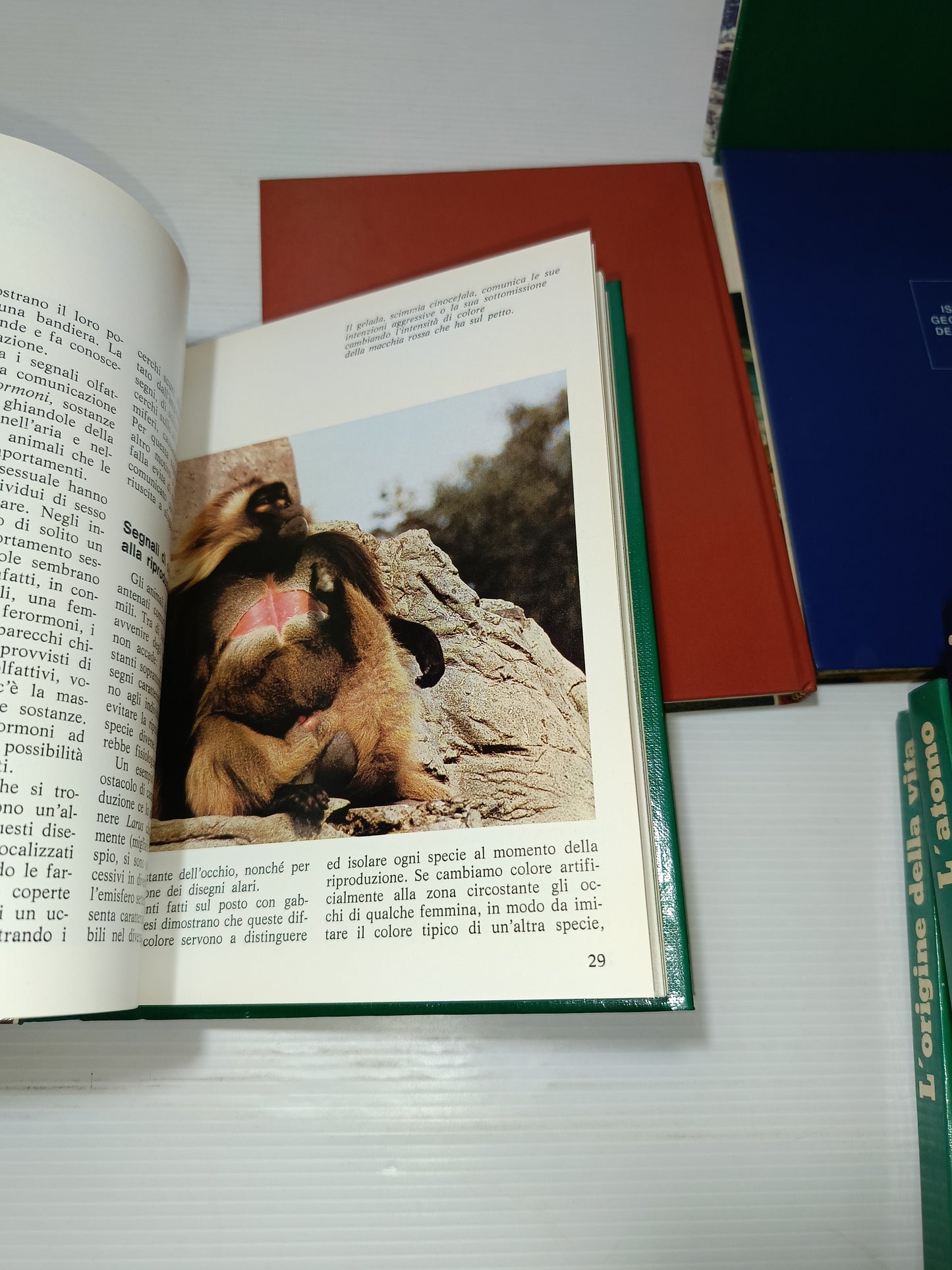 10 Volumi Grandi Temi De Agostini Anni 70