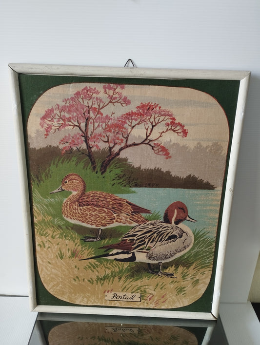 Codone Stampa Su Tela In Cornice Vintage
Misure 38 x 30 cm circa