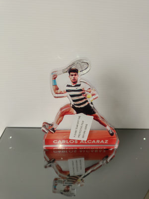 Descriptive image text