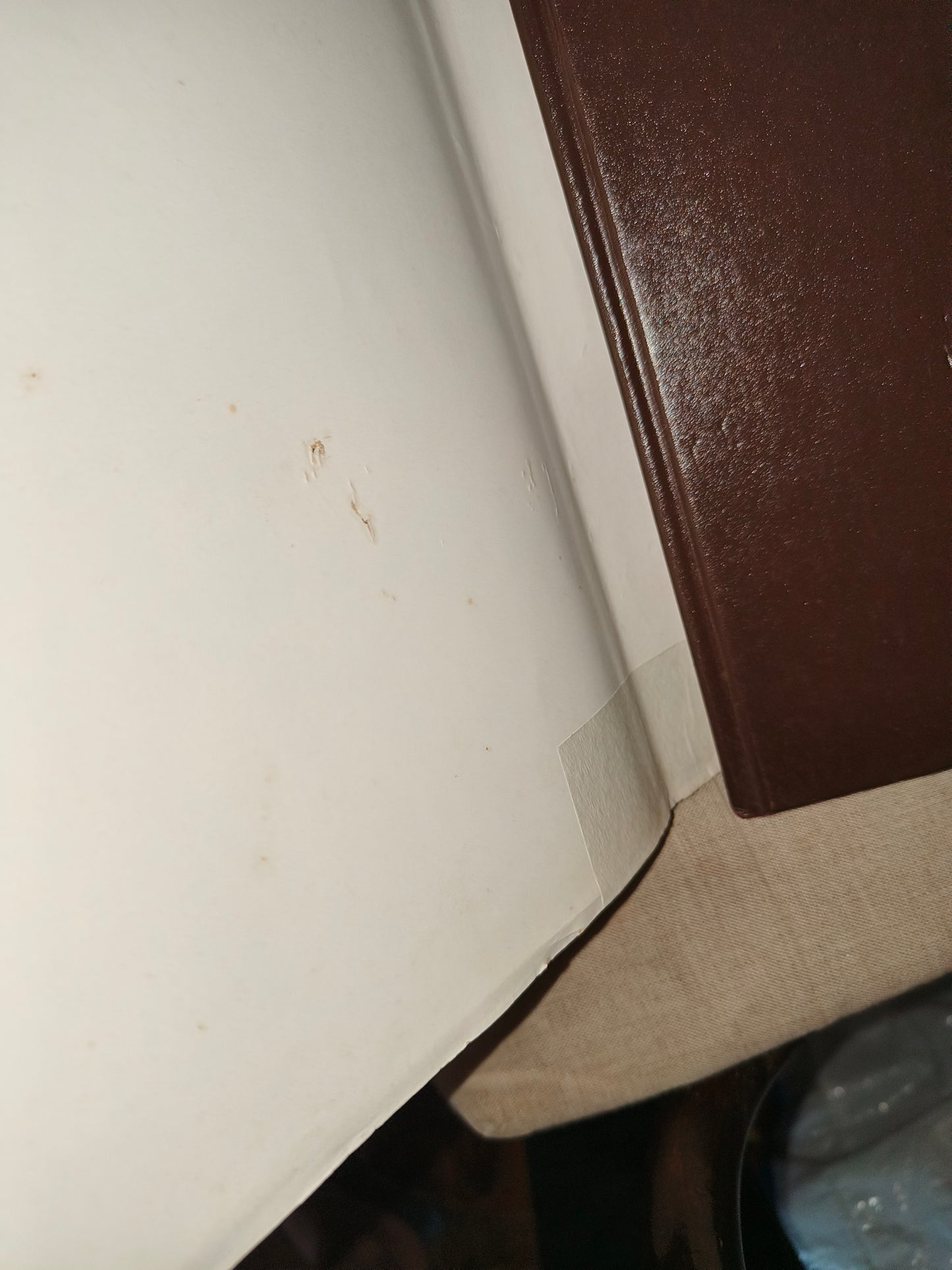 Libro Per Una Vita Migliore Ovvero Il Libro Dell' Orto Frutteto, anni 70 LEGGI