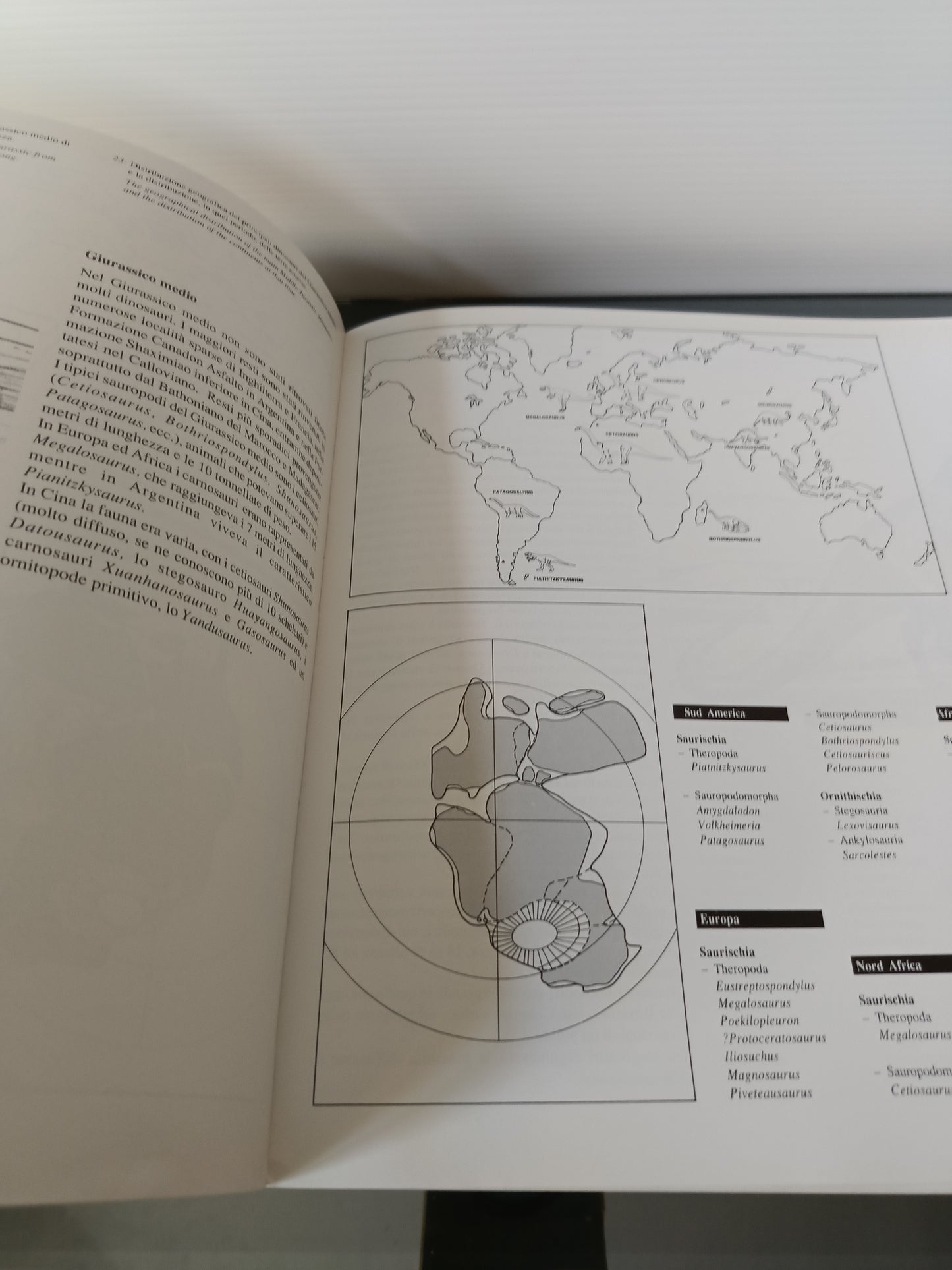 Dinosaurs Il Mondo Dei Dinosauri Cina Italia 1992
