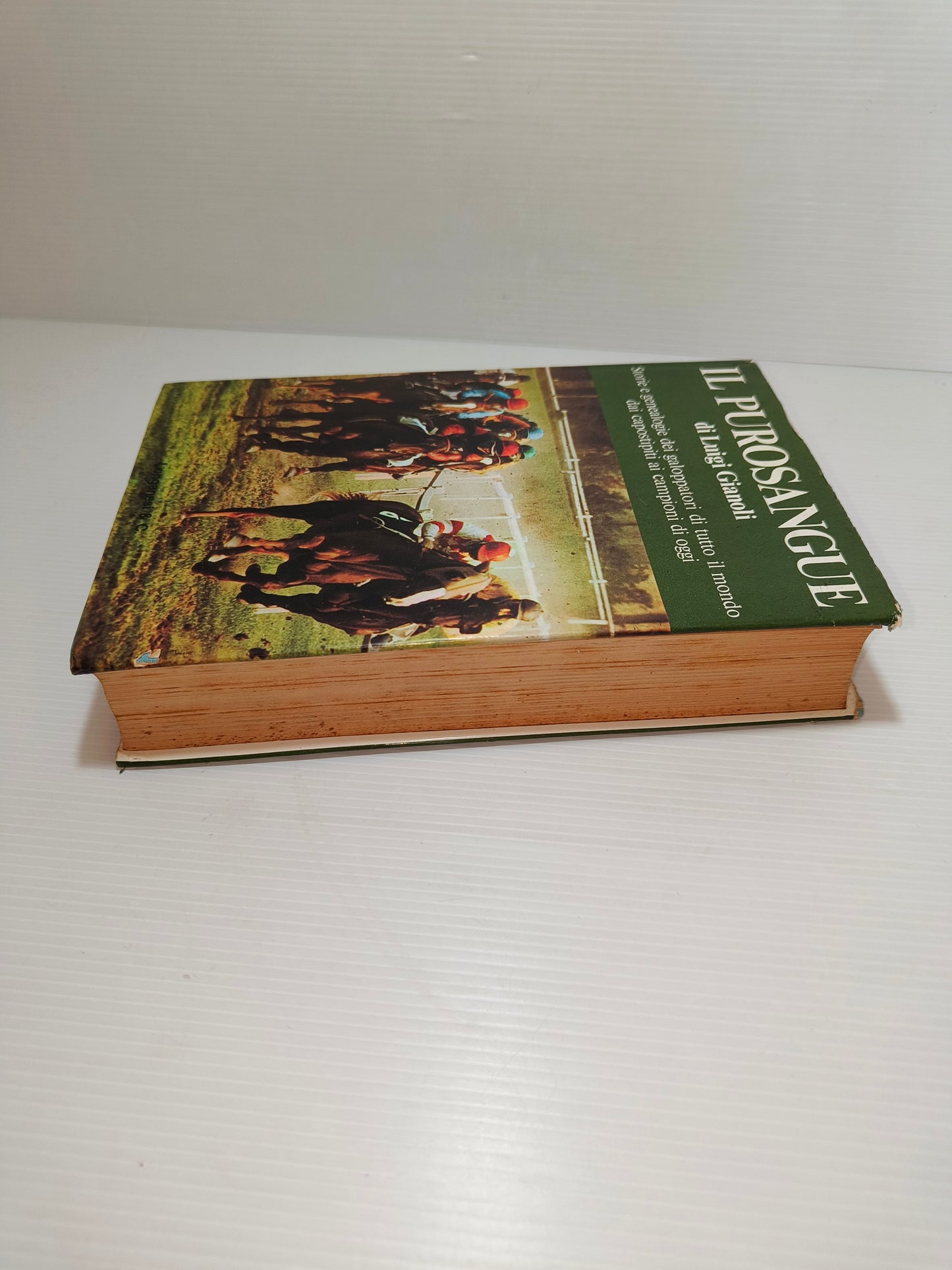 Libro Il Purosangue di L. Gianoli, 1975