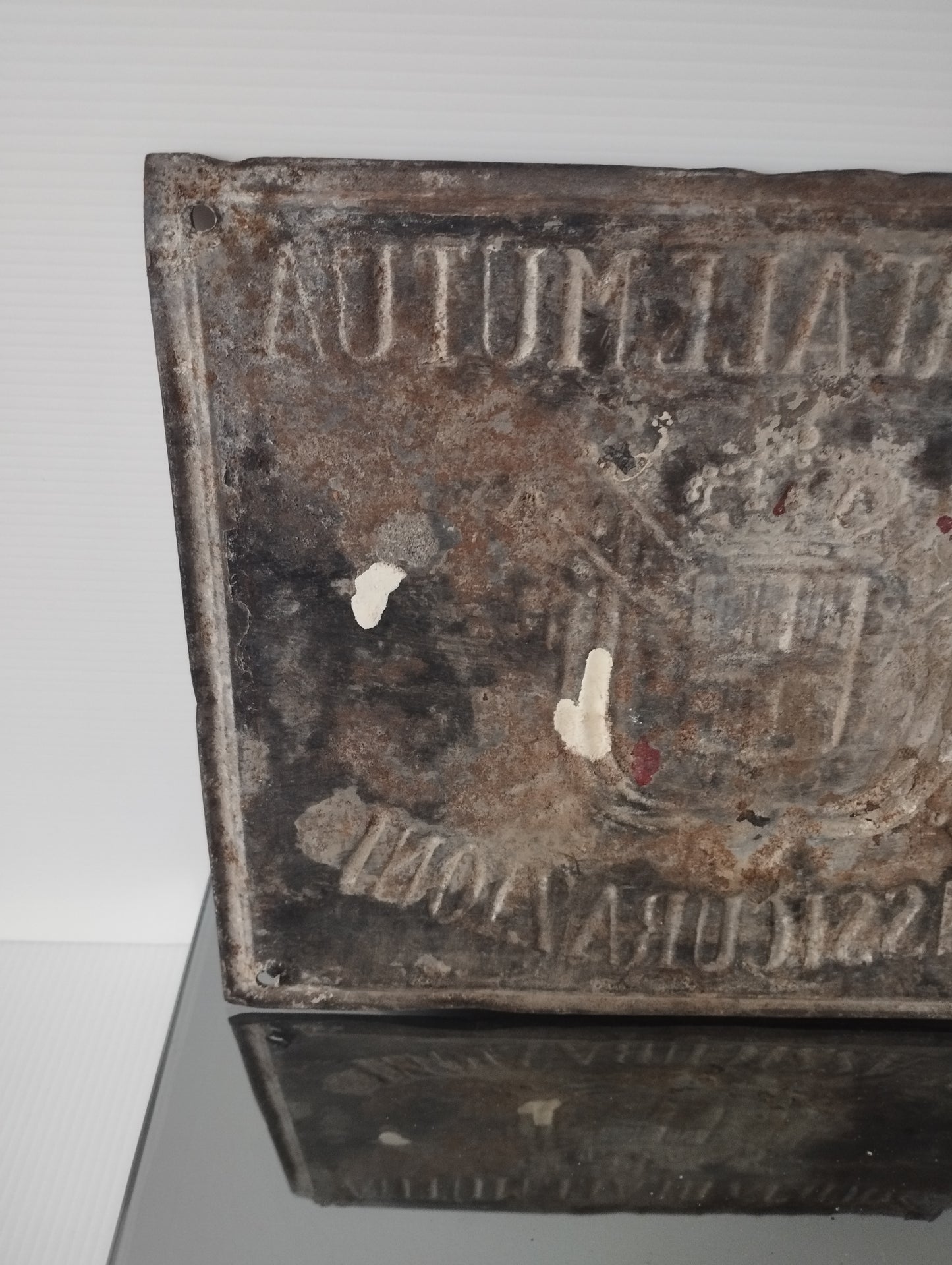 Antica Targa Società Reale Mutua Di Assicurazioni In Metallo
Misure 26 x 20,5