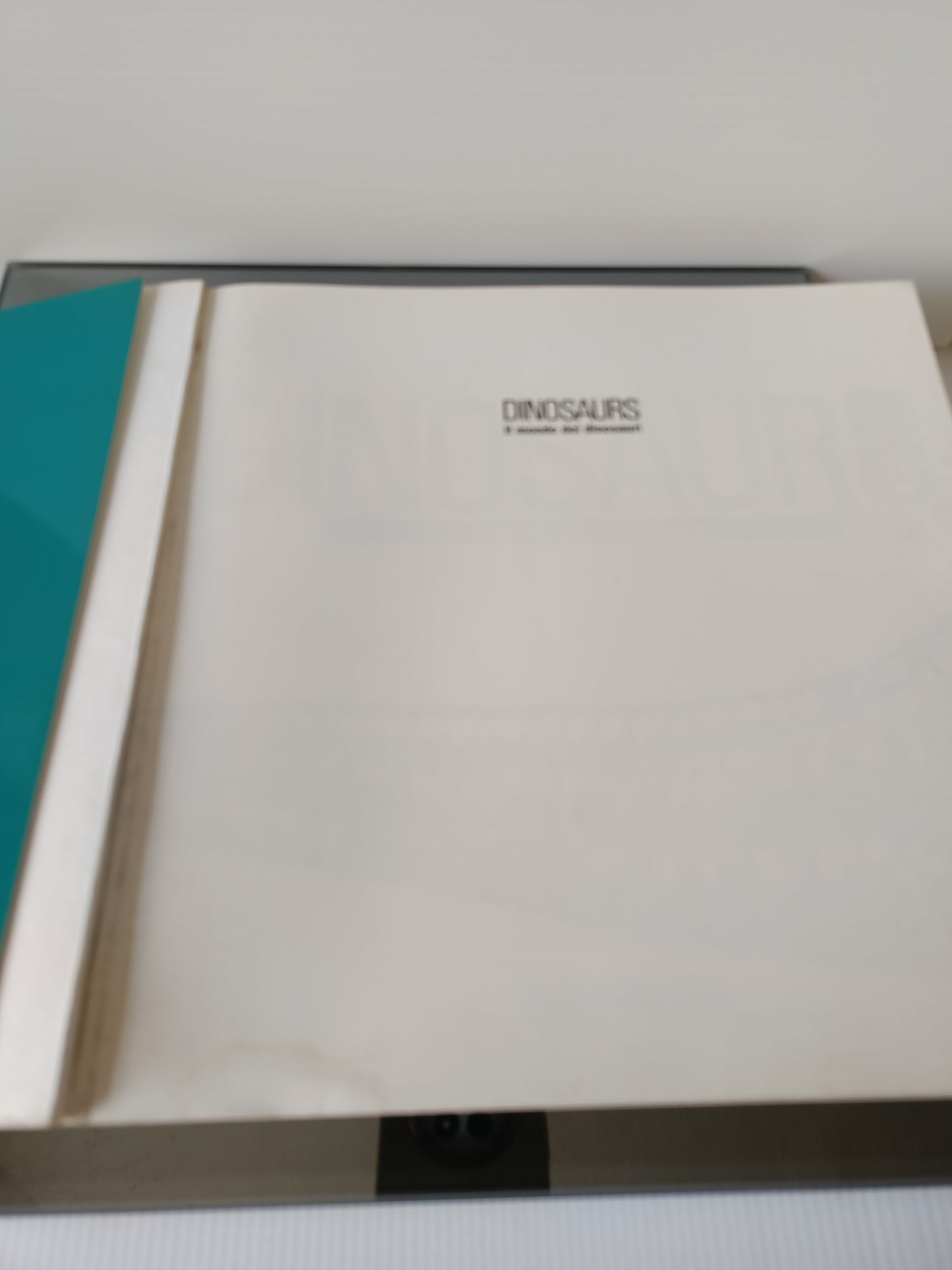 Dinosaurs Il Mondo Dei Dinosauri Cina Italia 1992