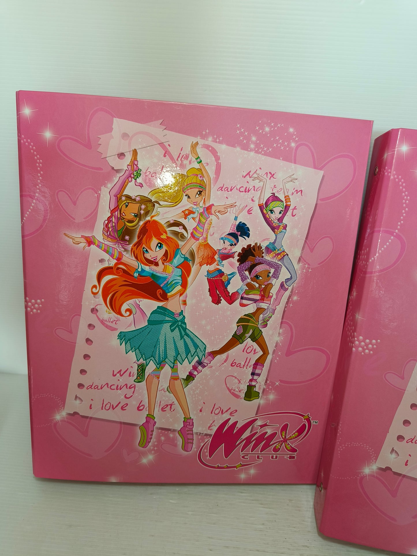 Due raccoglitori ad anelli Winx, LEGGI