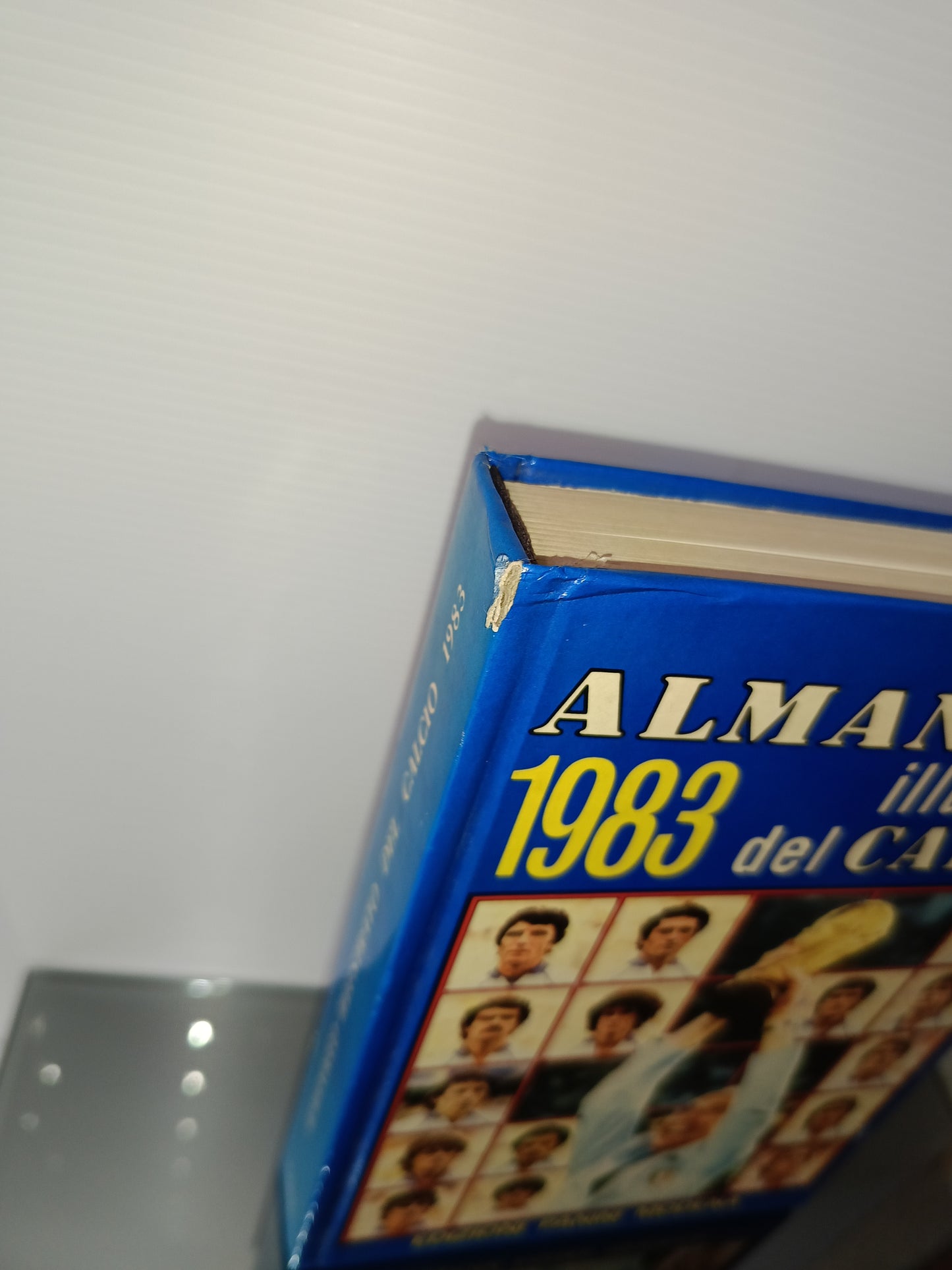 Panini Almanacco Illustrato Del Calcio 1983