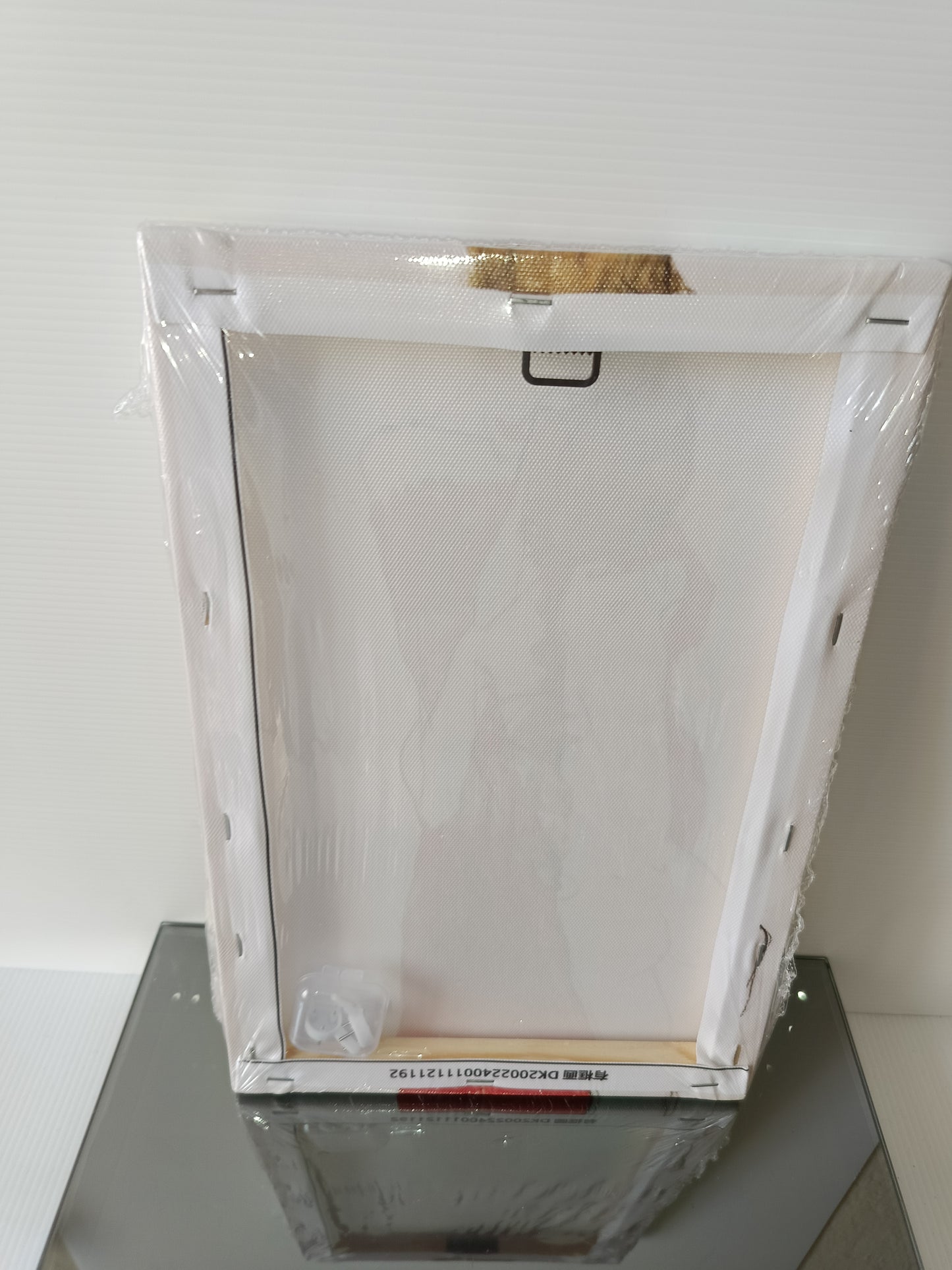 Stampa Su Tela 30 x 20