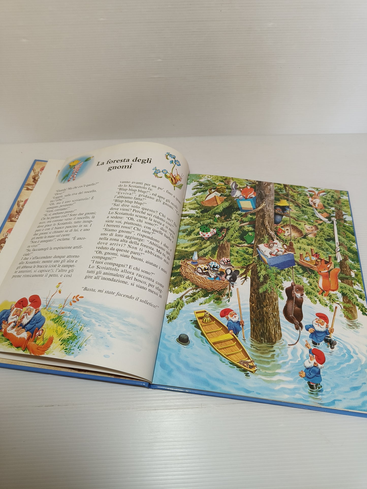 Libro Storie Del Bosco Gnomi, Dami Editore 1993
