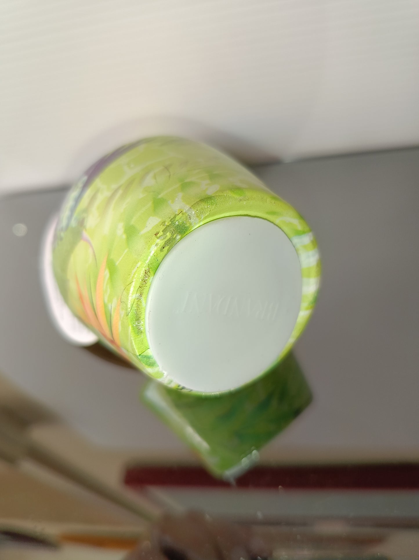 Salvadanaio Cactus Brandani In Dolomite Decorata