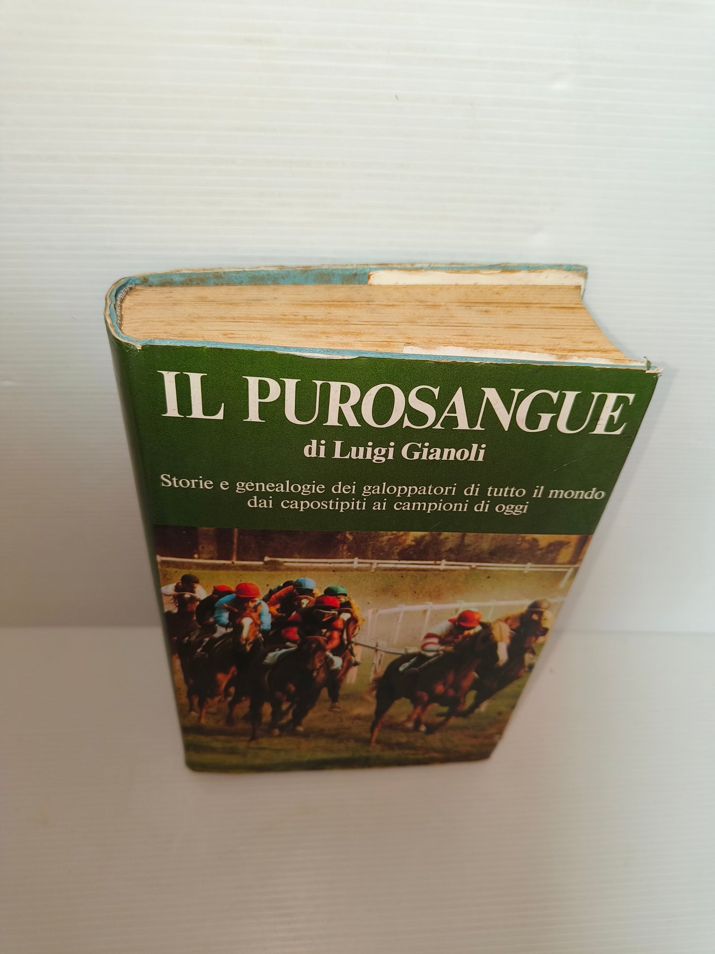 Libro Il Purosangue di L. Gianoli, 1975