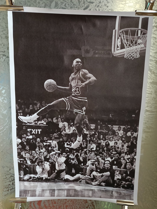 Basket Stampa Su Tela
Misure 78 x 53 Cm circa