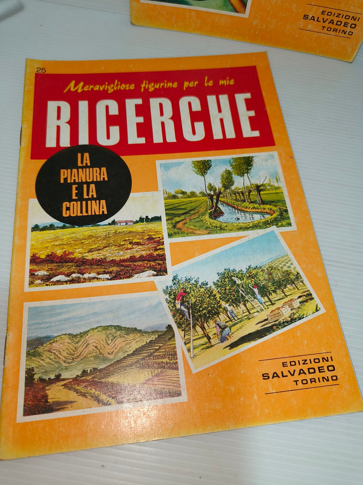 Lotto Le Ricerche, edizione Salvadeo, anni 80