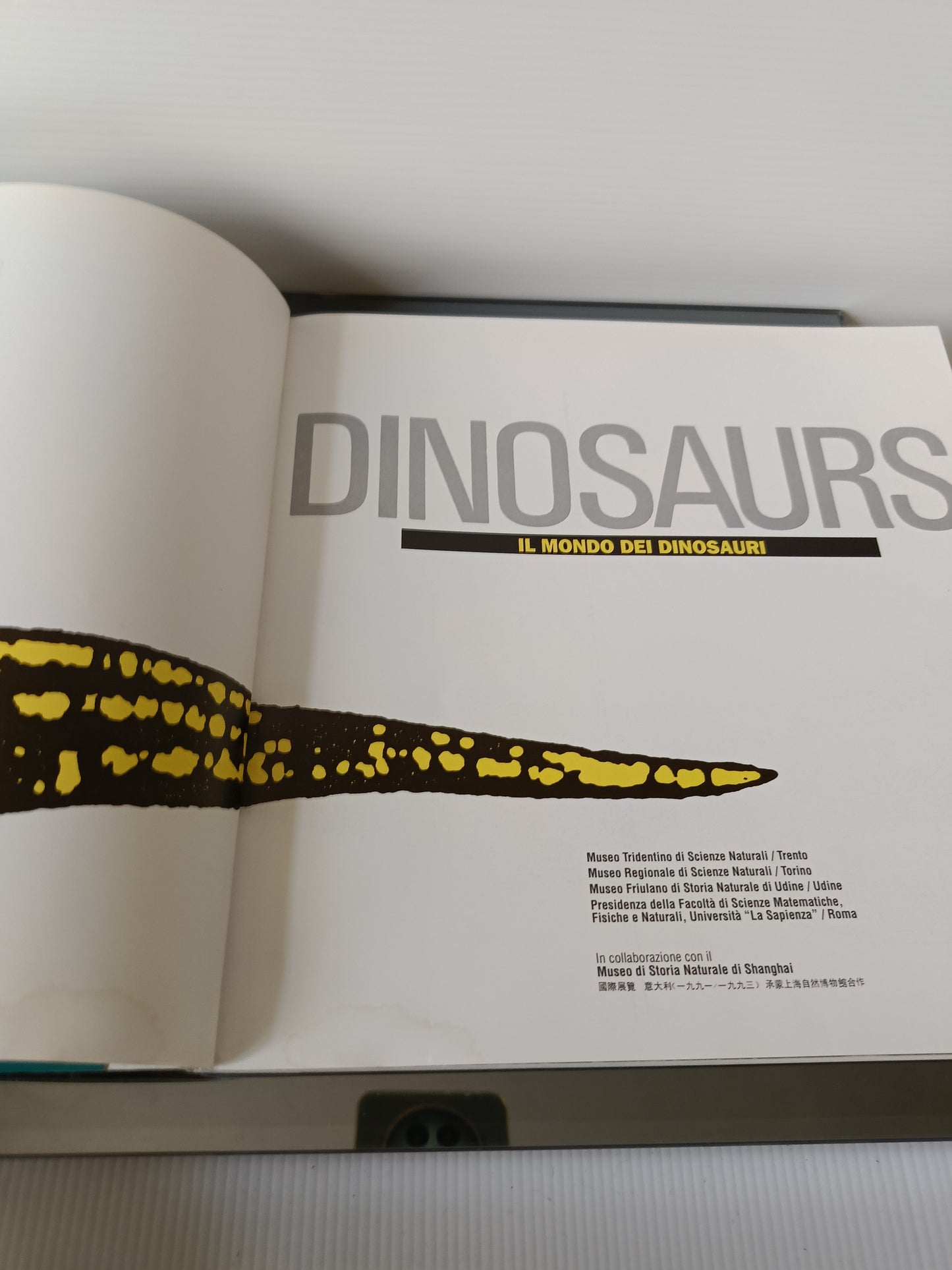 Dinosaurs Il Mondo Dei Dinosauri Cina Italia 1992