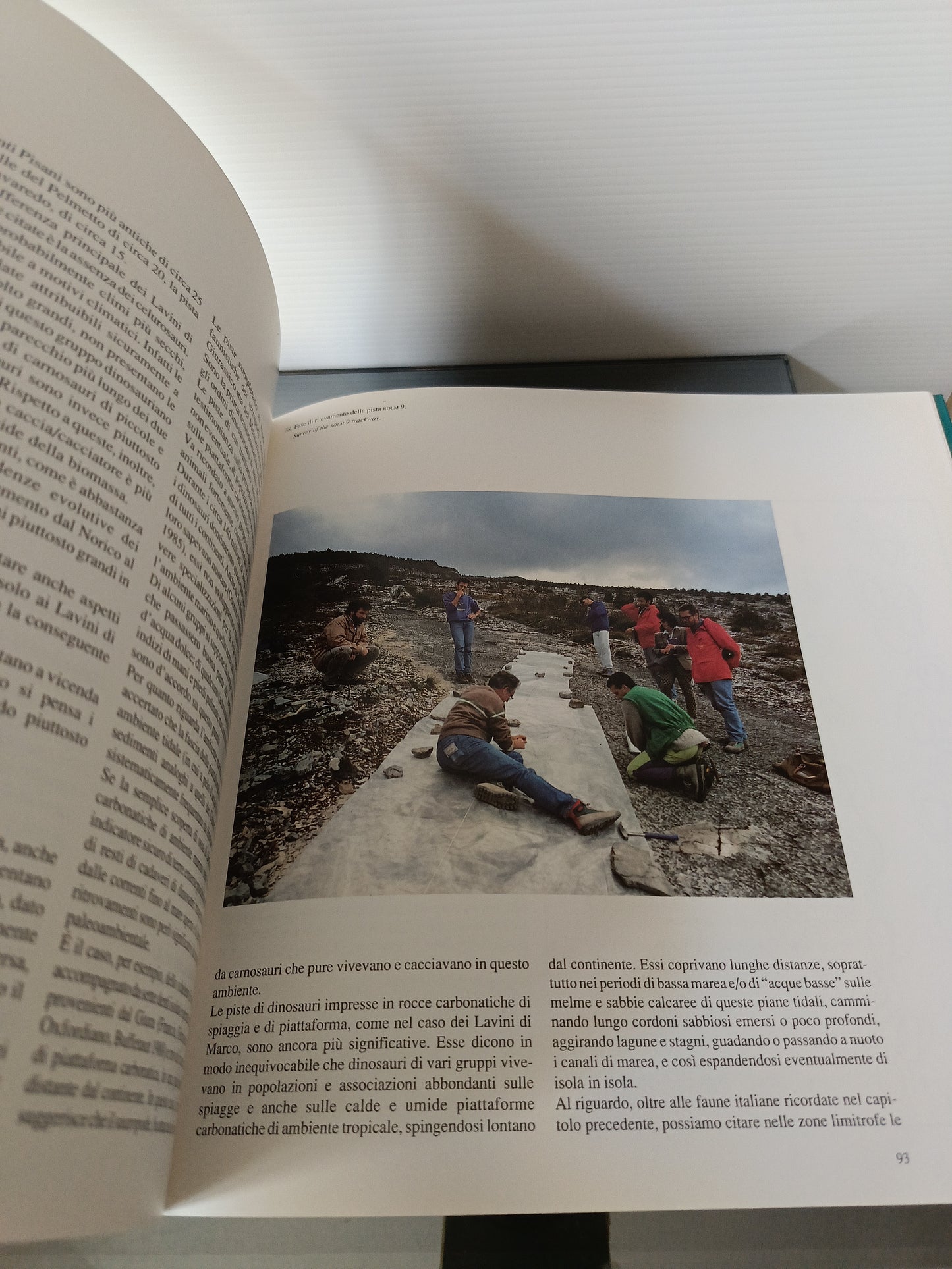 Dinosaurs Il Mondo Dei Dinosauri Cina Italia 1992