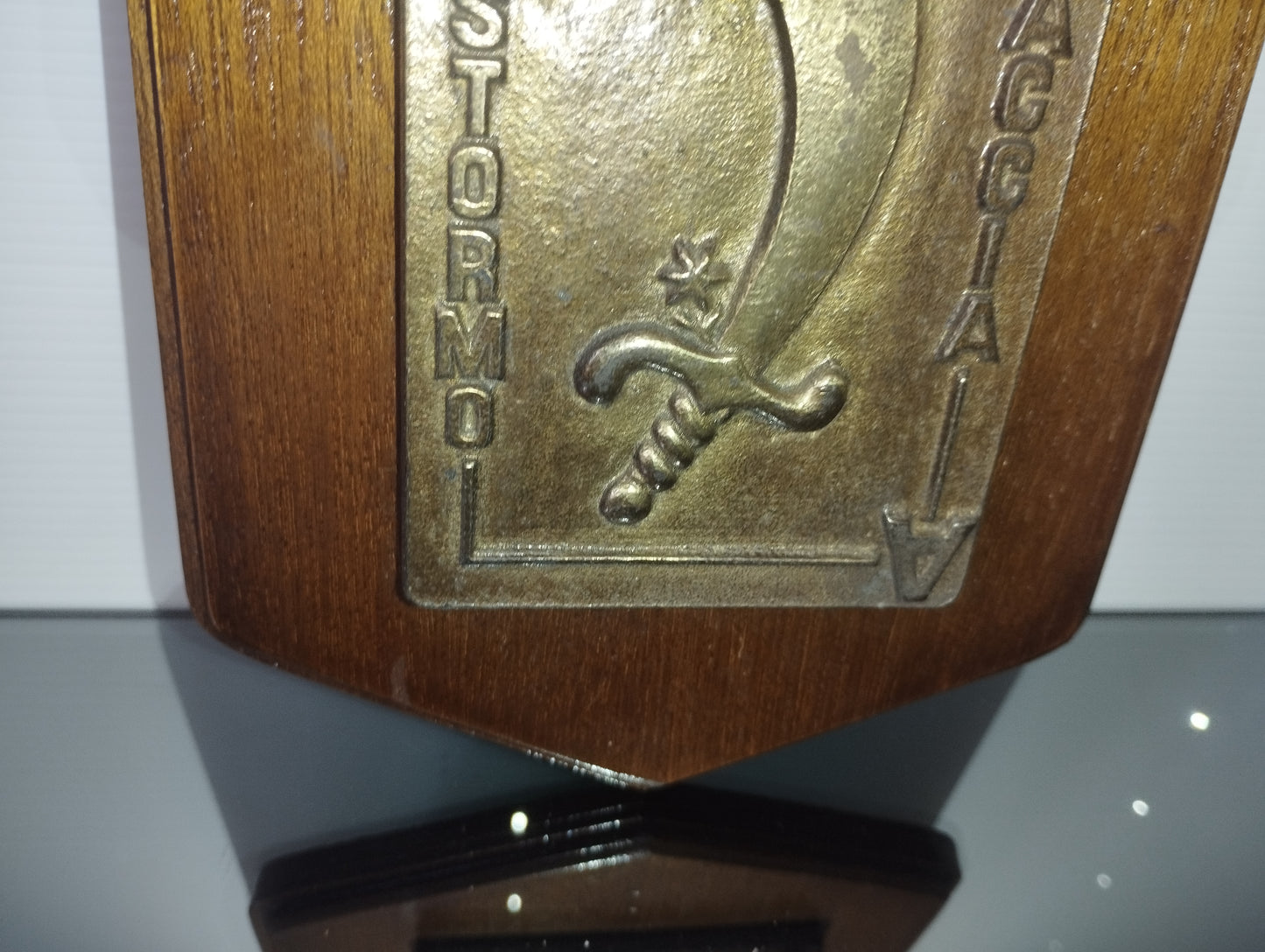 Targa 53° Stormo Caccia Aeronautica Militare
In Legno e Bronzo vintage