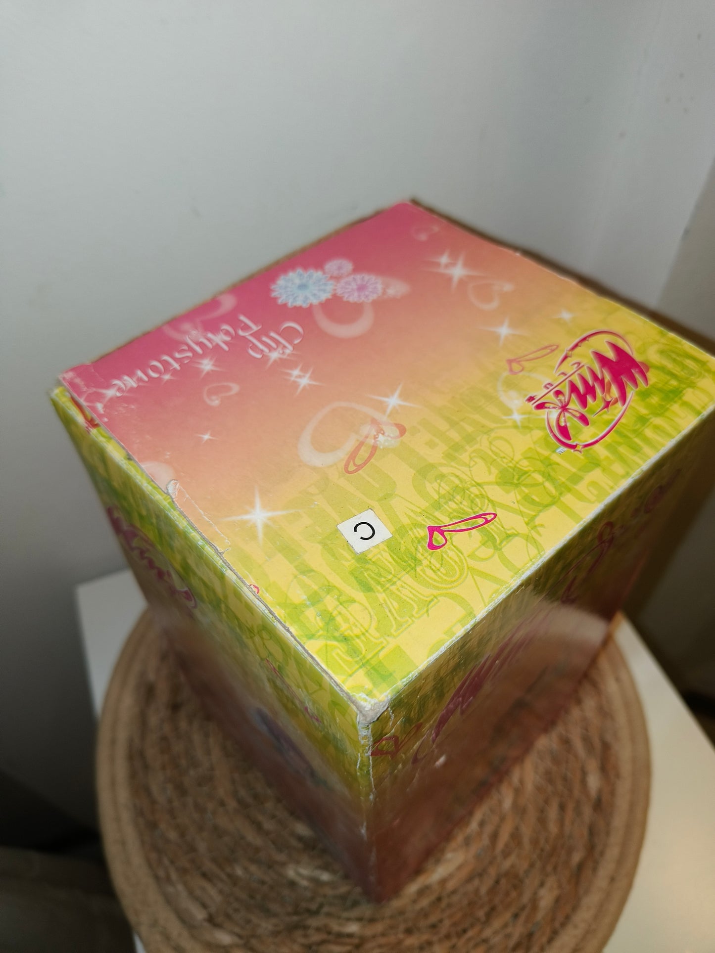 Statuina Winx Bloom in resina, LEGGI